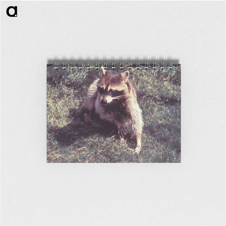 2-92_COVID-19_memo