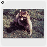 2-92_COVID-19_picture-crop