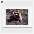 2-92_COVID-19_picture