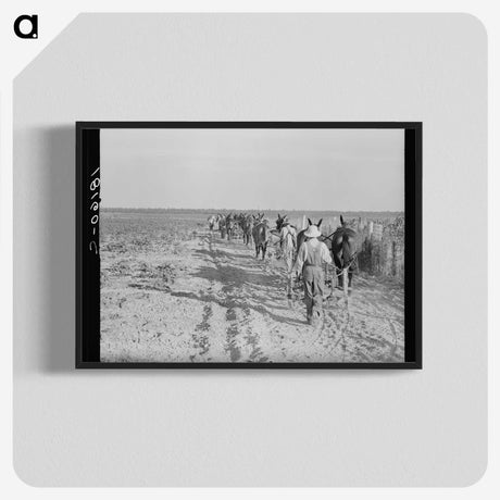 2-92_Dorothea-Lange_blk-crop