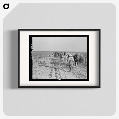 2-92_Dorothea-Lange_blk