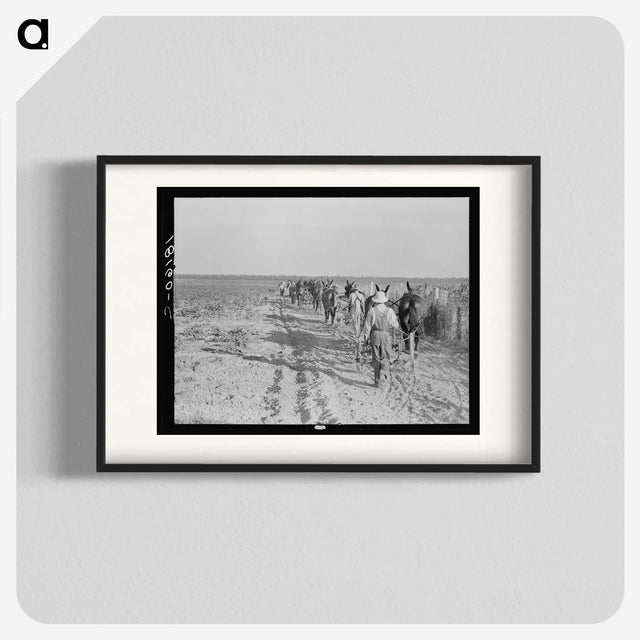 2-92_Dorothea-Lange_blk