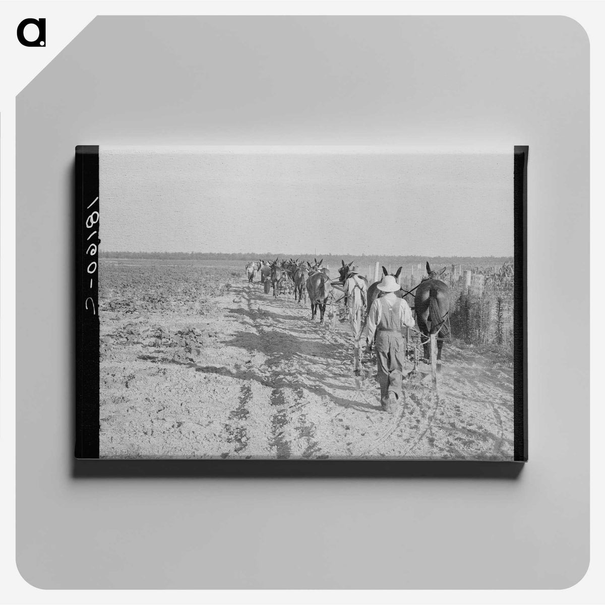2-92_Dorothea-Lange_canvas