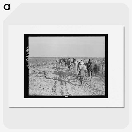 2-92_Dorothea-Lange_picture