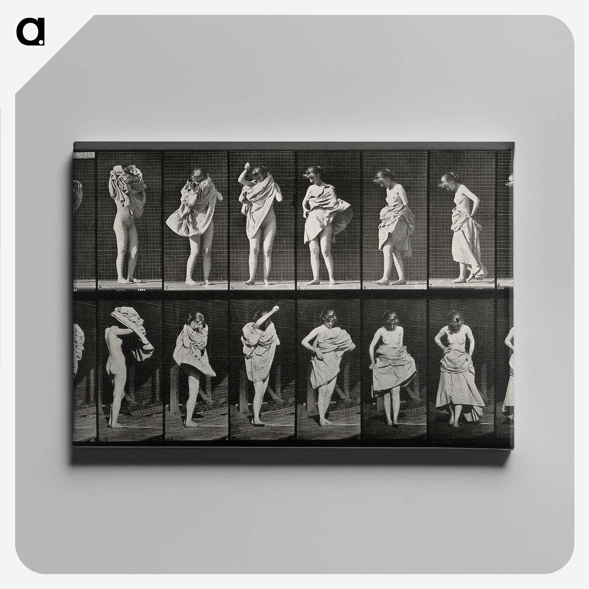 2-92_Eadweard-Muybridge_canvas