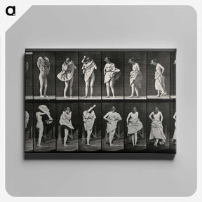 2-92_Eadweard-Muybridge_canvas