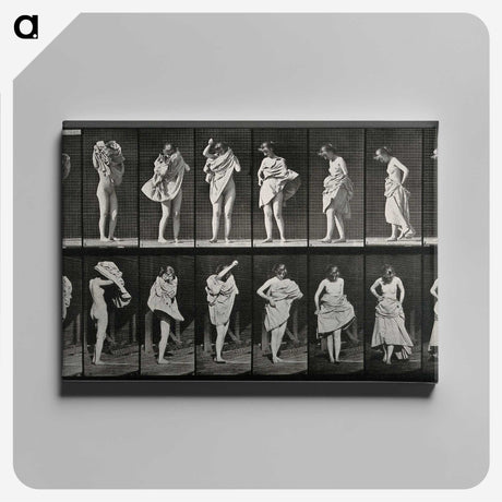 2-92_Eadweard-Muybridge_canvas
