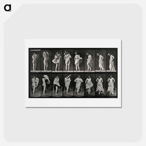 アートポストカード-Dressing
 - エドワード マイブリッジ Postcard.