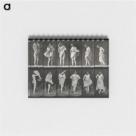 2-92_Eadweard-Muybridge_memo
