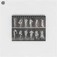 アートメモ帳-Dressing
 - エドワード マイブリッジ Memo.