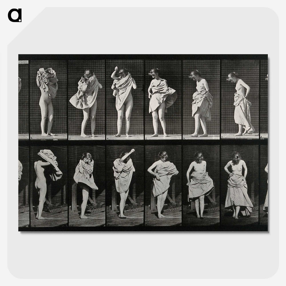 2-92_Eadweard-Muybridge_picture-crop