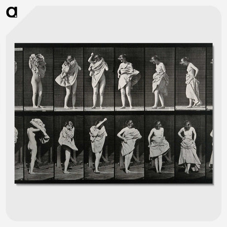 2-92_Eadweard-Muybridge_picture-crop