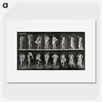 2-92_Eadweard-Muybridge_picture