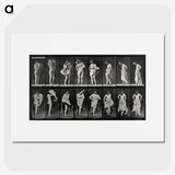 2-92_Eadweard-Muybridge_picture