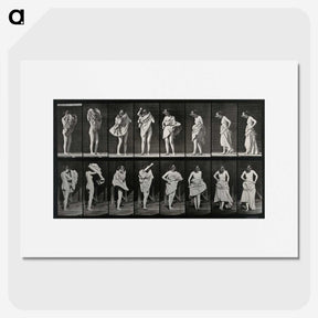 2-92_Eadweard-Muybridge_picture