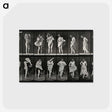 2-92_Eadweard-Muybridge_postcard