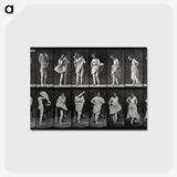 アートポストカード-Dressing
 - エドワード マイブリッジ Postcard.