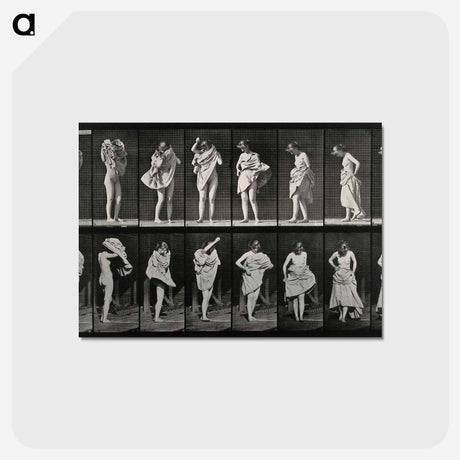 アートポストカード-Dressing
 - エドワード マイブリッジ Postcard.