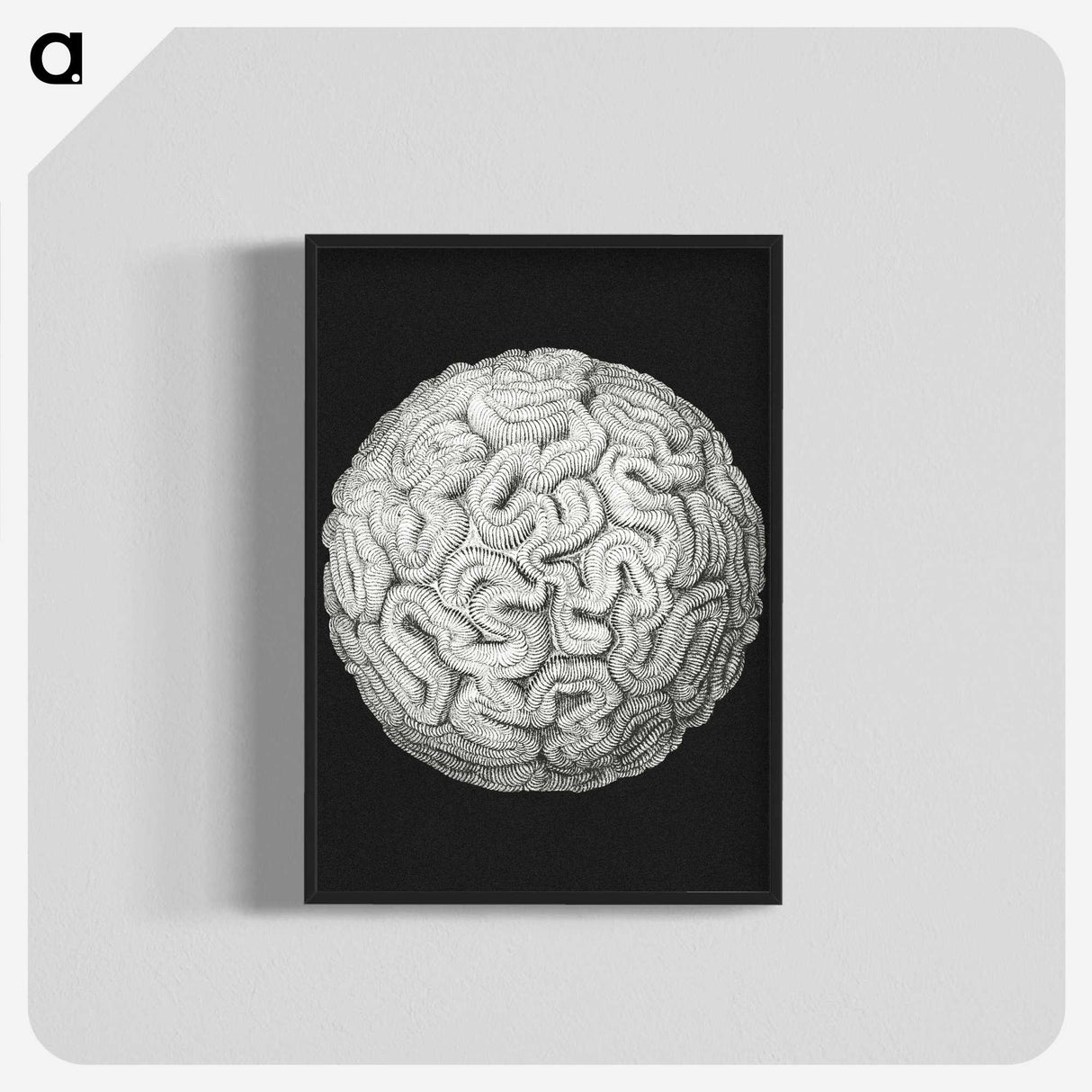 2-92_Ernst-Haeckel_blk-crop