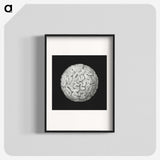 2-92_Ernst-Haeckel_blk