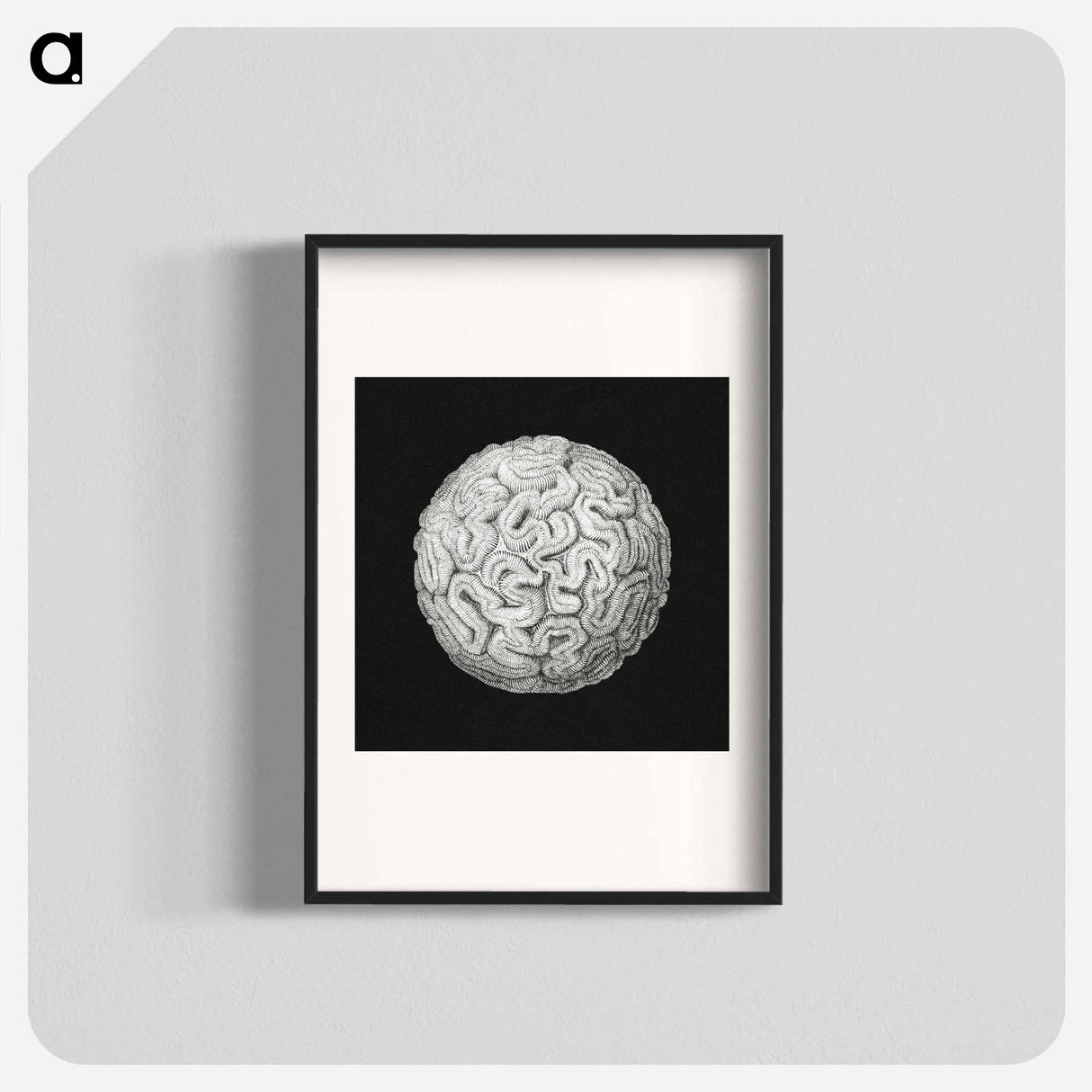 Vintage coral marine life illustration - エルンスト ヘッケル Poster.