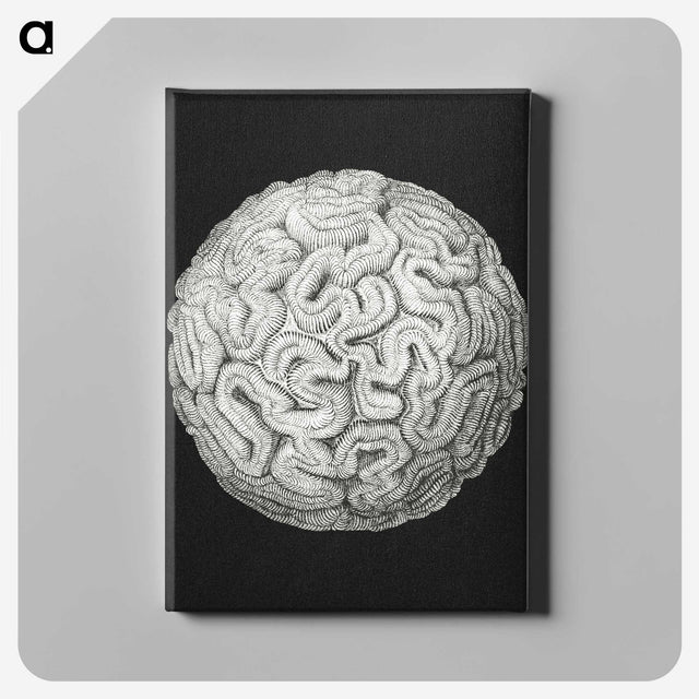 2-92_Ernst-Haeckel_canvas