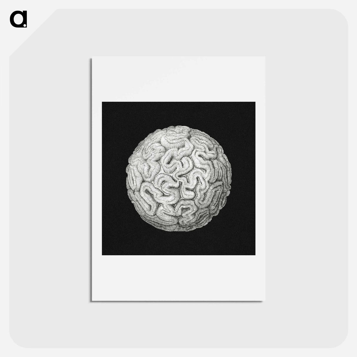 アートポストカード-Vintage coral marine life illustration - エルンスト ヘッケル Postcard.