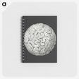 2-92_Ernst-Haeckel_memo