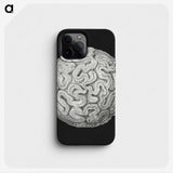 2-92_Ernst-Haeckel_phone
