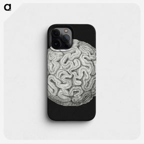 2-92_Ernst-Haeckel_phone