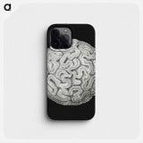 Vintage coral marine life illustration - エルンスト ヘッケル Phone Case.
