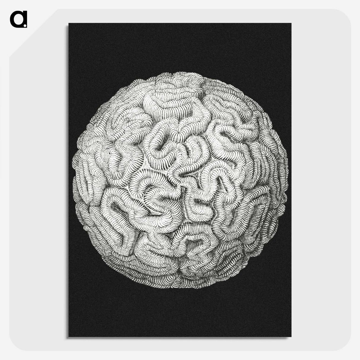 2-92_Ernst-Haeckel_picture-crop