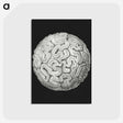 2-92_Ernst-Haeckel_postcard