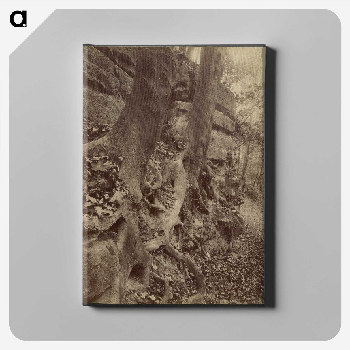 2-92_Eugene-Atget_canvas