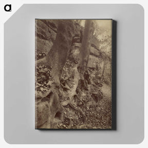2-92_Eugene-Atget_canvas