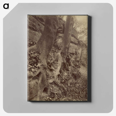 2-92_Eugene-Atget_canvas