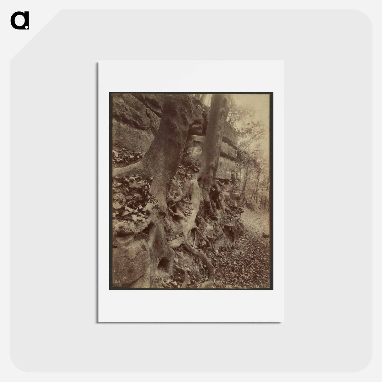 アートポストカード-Parc de Saint-Cloud
 - ウジェーヌ アジェ Postcard.