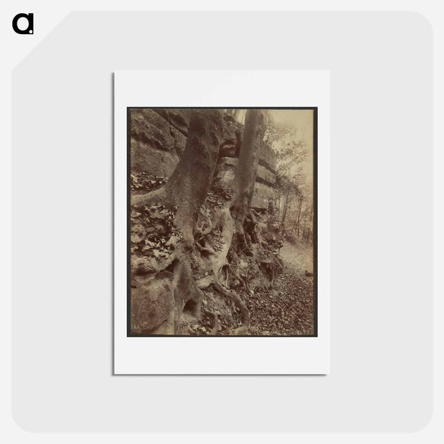 アートポストカード-Parc de Saint-Cloud
 - ウジェーヌ アジェ Postcard.