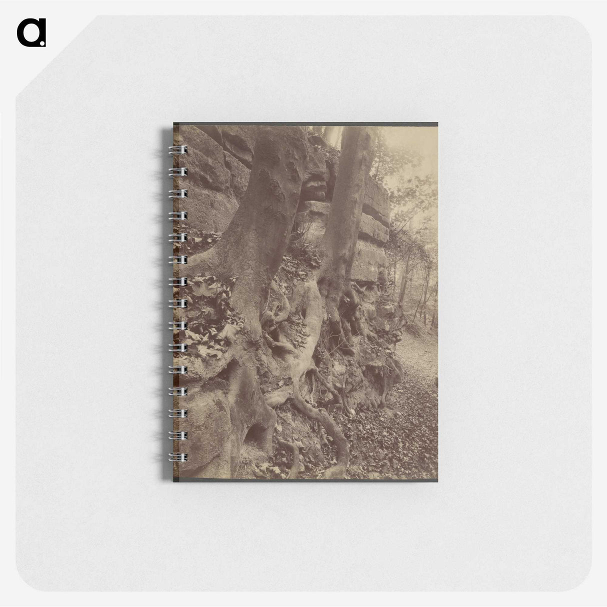 2-92_Eugene-Atget_memo