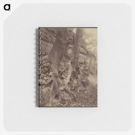 2-92_Eugene-Atget_memo
