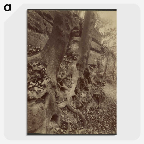 2-92_Eugene-Atget_picture-crop