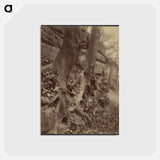 アートポストカード-Parc de Saint-Cloud
 - ウジェーヌ アジェ Postcard.