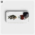 2-92_Ichtyologie-ou-Histoire-naturelle_phone