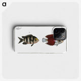 2-92_Ichtyologie-ou-Histoire-naturelle_phone