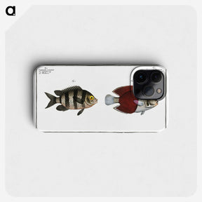 2-92_Ichtyologie-ou-Histoire-naturelle_phone