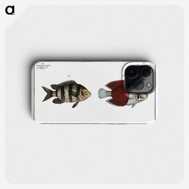 2-92_Ichtyologie-ou-Histoire-naturelle_phone