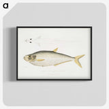 2-92_Indian-Zoology_blk-crop