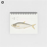 2-92_Indian-Zoology_memo