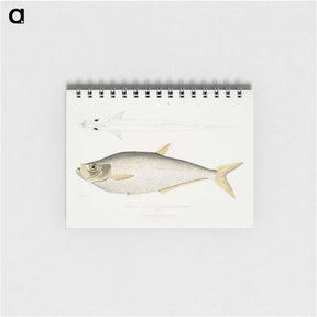 2-92_Indian-Zoology_memo