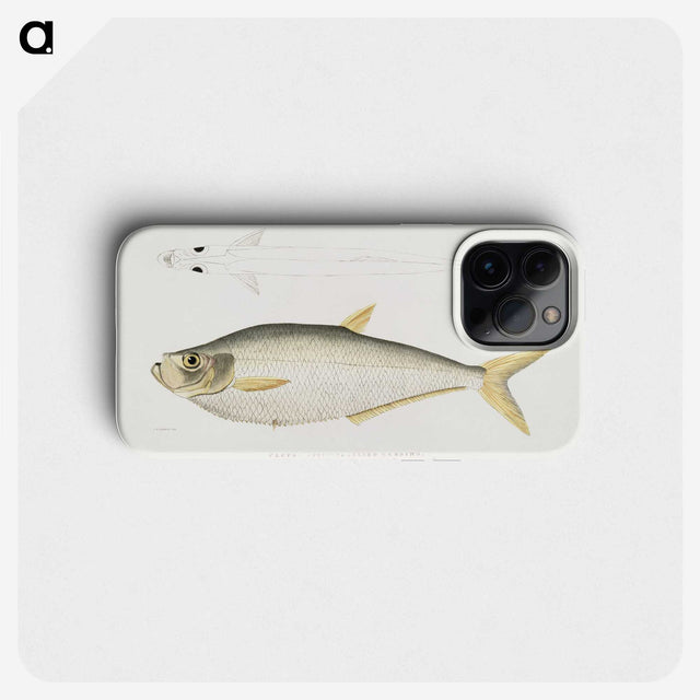 2-92_Indian-Zoology_phone